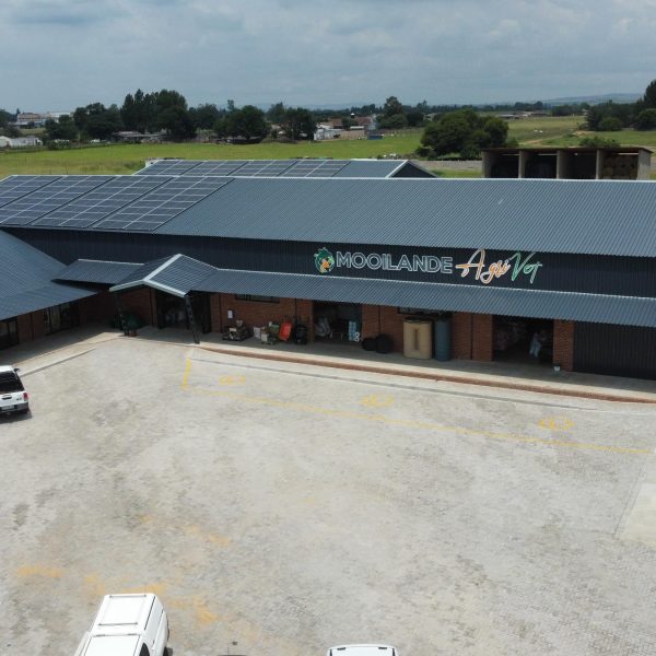 Dji fly 20250207 131312 906 1738926799302 photo optimized
